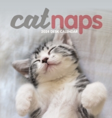 Cat Naps Easel Desk Calendar 2024