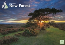 New Forest A4 Calendar 2025