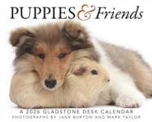 Image for Puppies Friends Box Calendar 2026