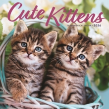 Image for Kittens Square Wall Sunday Start Calenda
