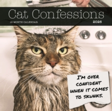 Image for Cat Confessions Square Wall Sunday Start