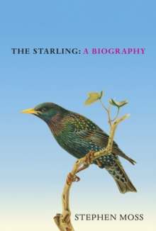 Image for The Starling