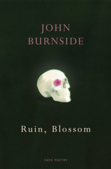 Image for Ruin, blossom