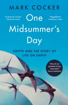 Image for One midsummer's day  : swifts and the story of life on Earth