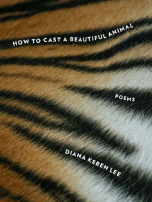 Image for How to Cast a Beautiful Animal