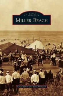 Image for Miller Beach