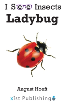 Image for Ladybug