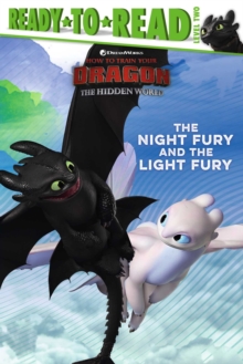 Image for The Night Fury and the Light Fury