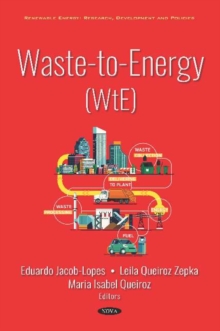 Image for Waste-to-Energy (WtE)