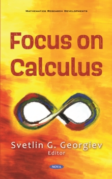 Image for Focus on Calculus