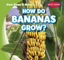 Image for How Do Bananas Grow?