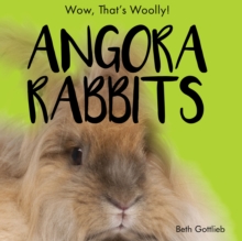 Image for Angora Rabbits