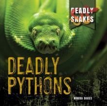Image for Deadly Pythons