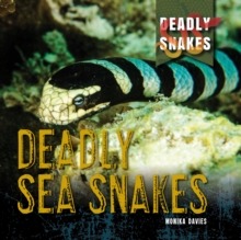 Image for Deadly Sea Snakes