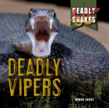 Image for Deadly Vipers