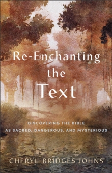 Image for Re-enchanting the text  : discovering the Bible as sacred, dangerous, and mysterious