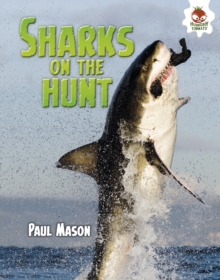 Image for Sharks on the Hunt