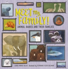 Image for Meet My Family!: Animal Babies and Their Families