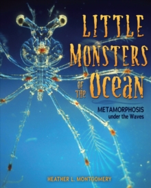 Image for Little Monsters of the Ocean: Metamorphosis under the Waves
