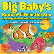 Image for Big Baby's Book of Life in the Sea: Amazing Animals that Live in the Water - Baby & Toddler Color Books