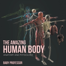 Image for The Amazing Human Body Anatomy and Physiology