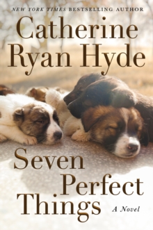 Image for Seven perfect things