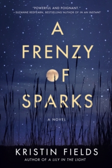 A Frenzy of Sparks: A Novel