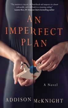 An Imperfect Plan: A Novel