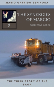Image for synergies of Marcio 3: Corrective actions