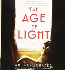 Image for The age of light  : a novel