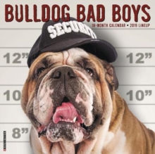 Image for Bulldog Bad Boys 2019 Wall Calendar (Dog Breed Calendar)