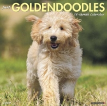 Image for Just Goldendoodles 2019 Wall Calendar (Dog Breed Calendar)
