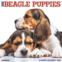 Image for Just Beagle Puppies 2020 Wall Calendar (Dog Breed Calendar)