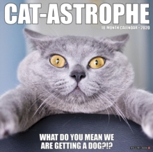 Image for Cat-Astrophe 2020 Wall Calendar