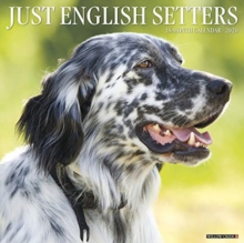 Image for Just English Setters 2020 Wall Calendar (Dog Breed Calendar)