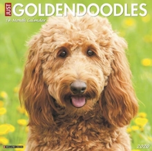 Image for Just Goldendoodles 2020 Wall Calendar (Dog Breed Calendar)