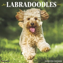 Image for Just Labradoodles 2020 Wall Calendar (Dog Breed Calendar)