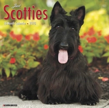 Image for Just Scotties 2020 Wall Calendar (Dog Breed Calendar)