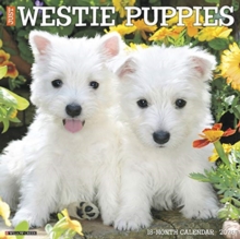 Image for Just Westie Puppies 2020 Wall Calendar (Dog Breed Calendar)