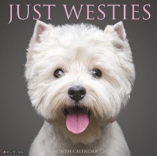 Image for Just Westies 2020 Wall Calendar (Dog Breed Calendar)