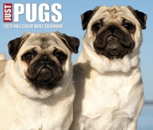 Image for Just Pugs 2020 Box Calendar (Dog Breed Calendar)