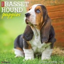 Image for Just Basset Hound Puppies 2021 Wall Calendar (Dog Breed Calendar)