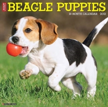Image for Just Beagle Puppies 2021 Wall Calendar (Dog Breed Calendar)