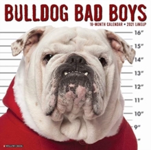 Image for Bulldog Bad Boys 2021 Wall Calendar (Dog Breed Calendar)