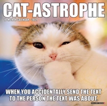 Image for Cat-Astrophe 2021 Wall Calendar