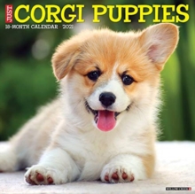 Image for Just Corgi Puppies 2021 Wall Calendar (Dog Breed Calendar)