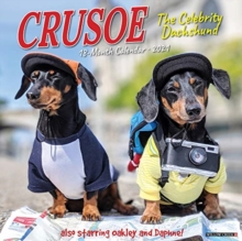 Image for Crusoe the Celebrity Dachshund 2021 Wall Calendar (Dog Breed Calendar)