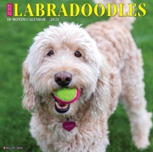 Image for Just Labradoodles 2021 Wall Calendar (Dog Breed Calendar)