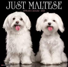 Image for Just Maltese 2021 Wall Calendar (Dog Breed Calendar)