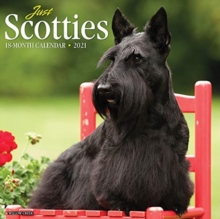 Image for Just Scotties 2021 Wall Calendar (Dog Breed Calendar)